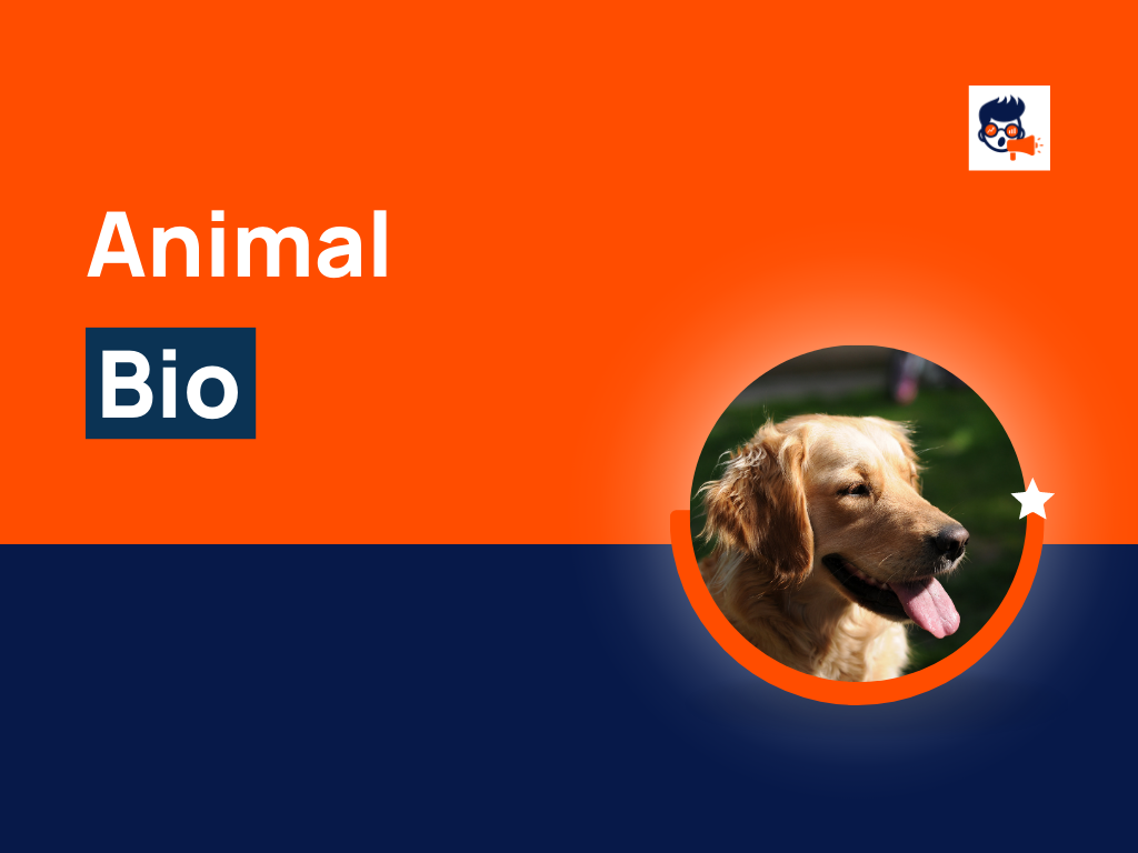 168+ Animal Bio For All Social Media