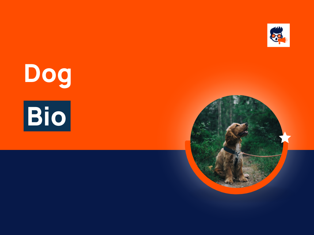 177+ Funny Dog Bio For Social Media (Examples) theBrandBoy