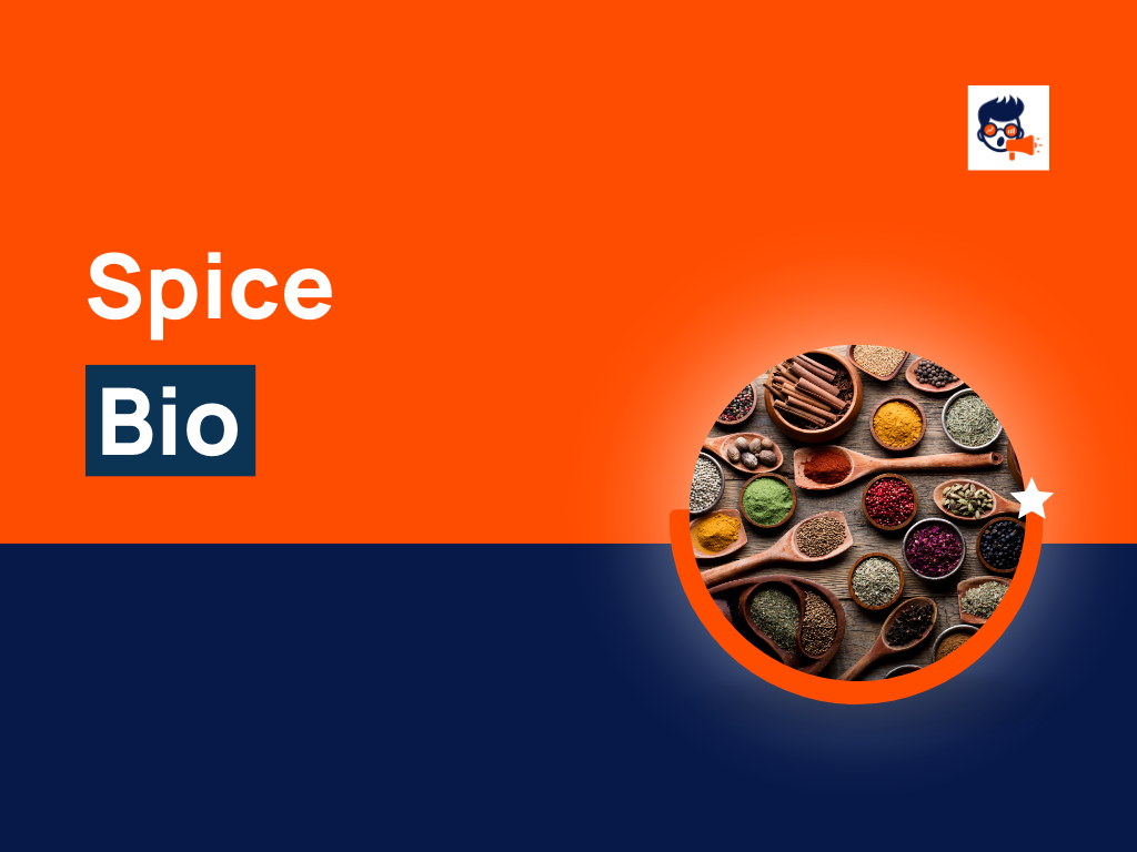 171+ Best Spice Bio for Social media (Examples) theBrandBoy