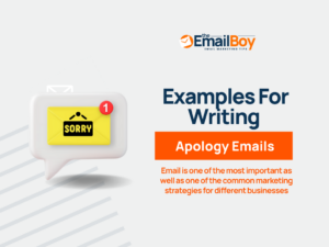 Writing Apology Emails Guides examples